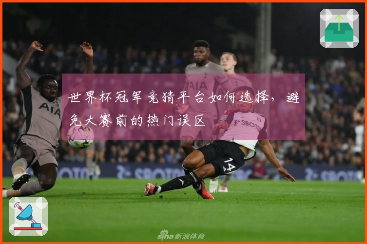 世界杯冠军竞猜平台如何选择，避免大赛前的热门误区