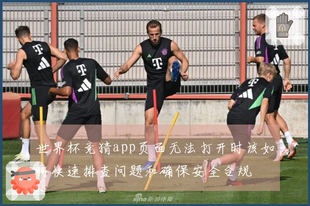 世界杯竞猜app页面无法打开时该如何快速排查问题和确保安全合规