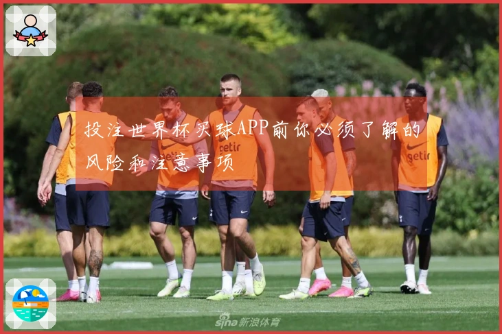 投注世界杯买球APP前你必须了解的风险和注意事项