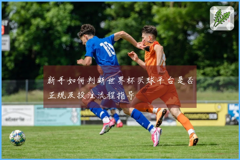 新手如何判断世界杯买球平台是否正规及投注流程指导