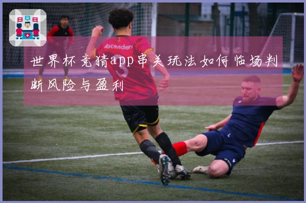 世界杯竞猜app串关玩法如何临场判断风险与盈利