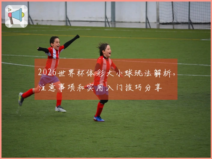 2026世界杯体彩大小球玩法解析，注意事项和实用入门技巧分享