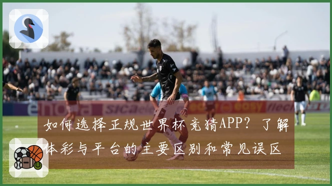 如何选择正规世界杯竞猜APP？了解体彩与平台的主要区别和常见误区
