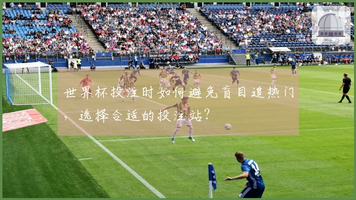 世界杯投注时如何避免盲目追热门，选择合适的投注站？