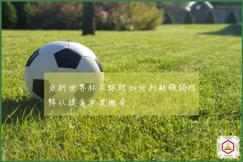 分析世界杯买球时如何判断强弱对阵以提高中奖概率