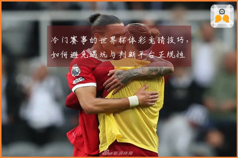 冷门赛事的世界杯体彩竞猜技巧，如何避免遇坑与判断平台正规性