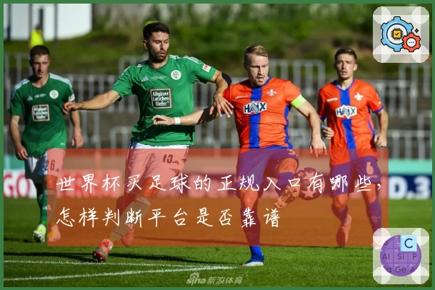 世界杯买足球的正规入口有哪些，怎样判断平台是否靠谱