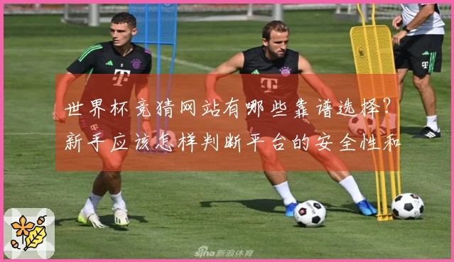 世界杯竞猜网站有哪些靠谱选择？新手应该怎样判断平台的安全性和合法性？