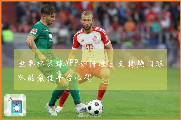 世界杯买球APP如何选出支持热门球队的最佳平台心得