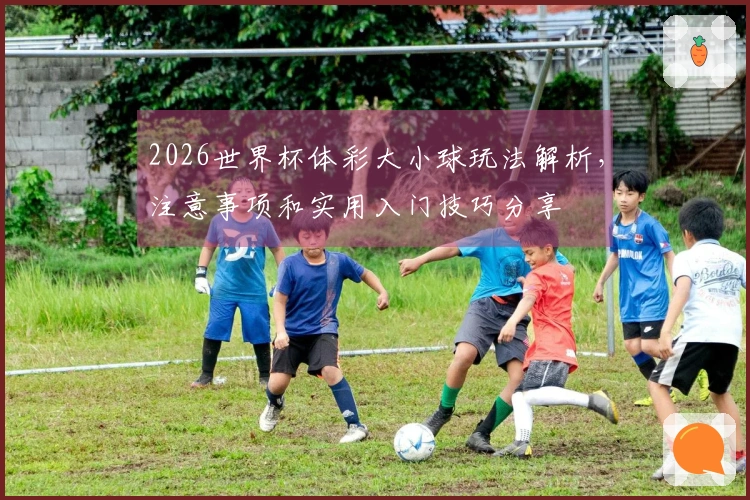2026世界杯体彩大小球玩法解析，注意事项和实用入门技巧分享