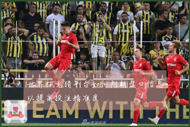 世界杯竞猜平台如何判断盘口信息以提高投注精准度