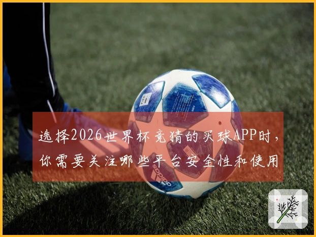 选择2026世界杯竞猜的买球APP时，你需要关注哪些平台安全性和使用体验？