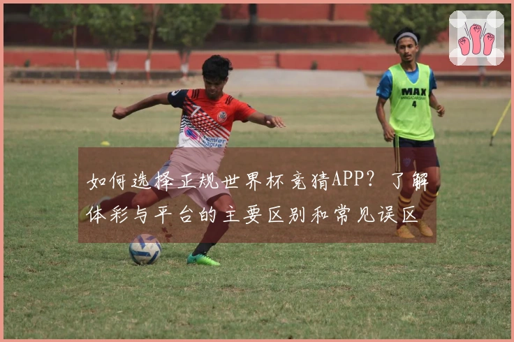 如何选择正规世界杯竞猜APP?了解体彩与平台的主要区别和常见误区