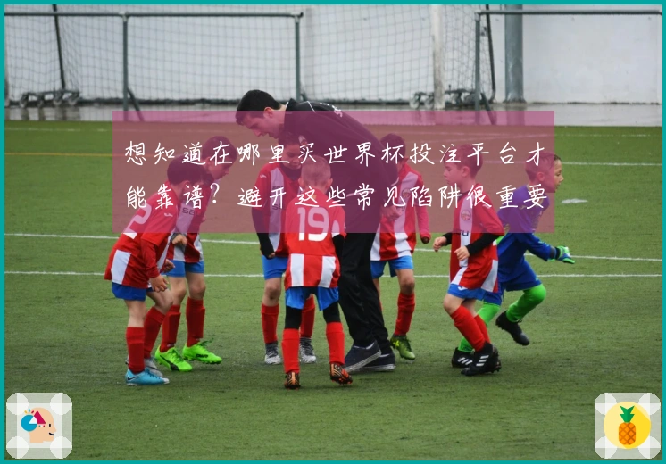 想知道在哪里买世界杯投注平台才能靠谱？避开这些常见陷阱很重要