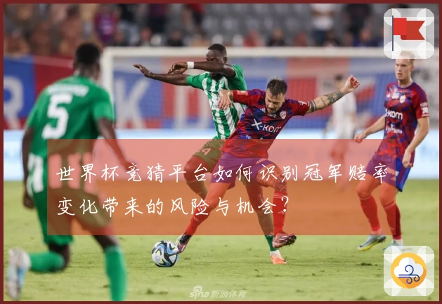 世界杯竞猜平台如何识别冠军赔率变化带来的风险与机会？