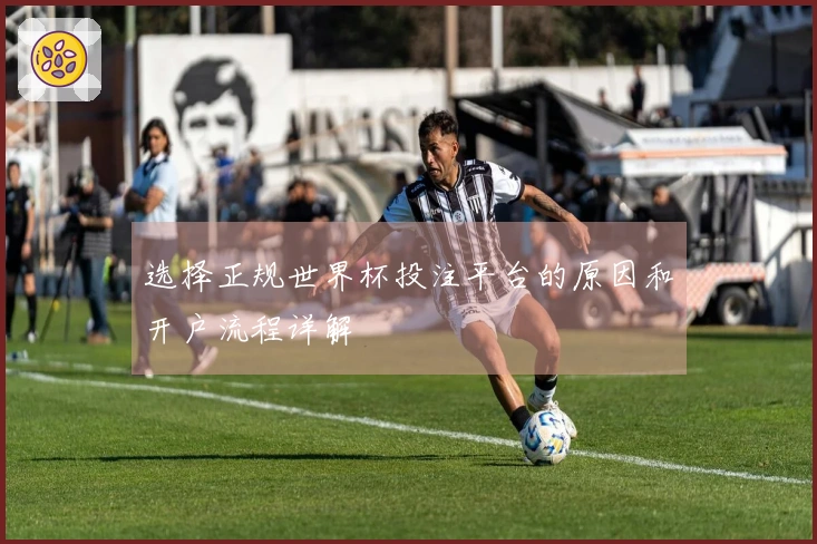 选择正规世界杯投注平台的原因和开户流程详解