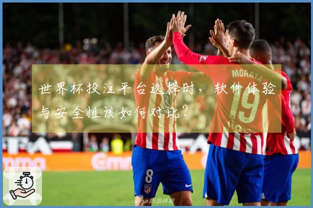 世界杯投注平台选择时，软件体验与安全性该如何对比？