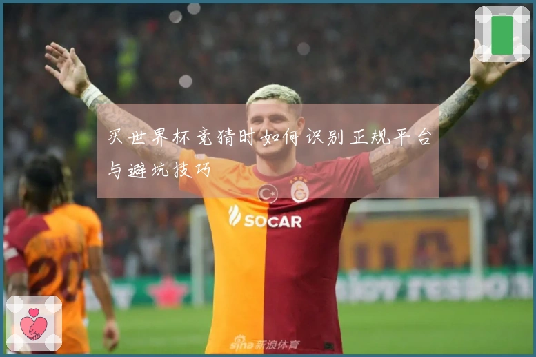 买世界杯竞猜时如何识别正规平台与避坑技巧
