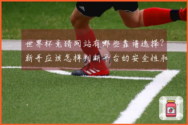 世界杯竞猜网站有哪些靠谱选择？新手应该怎样判断平台的安全性和合法性？