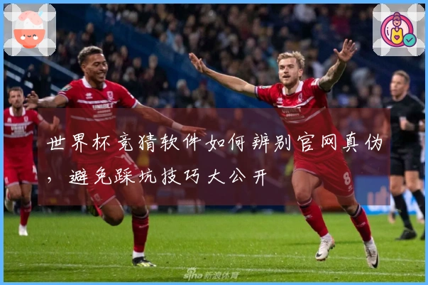 世界杯竞猜软件如何辨别官网真伪，避免踩坑技巧大公开