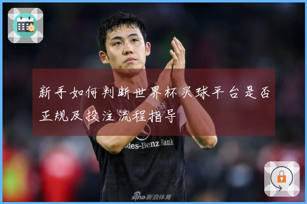新手如何判断世界杯买球平台是否正规及投注流程指导