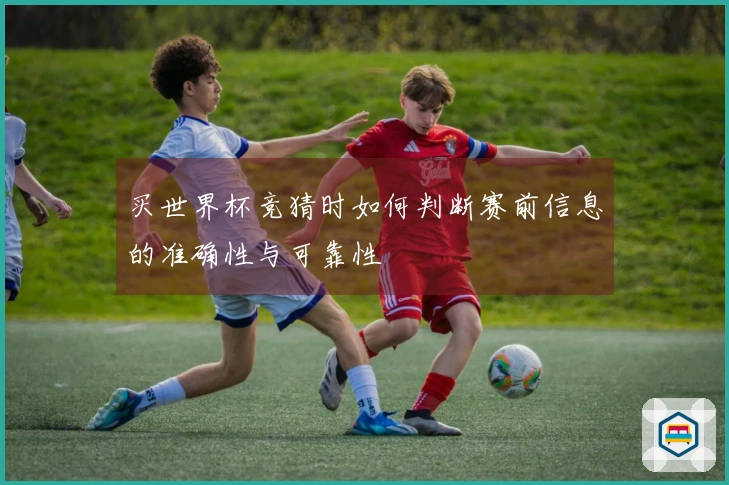 买世界杯竞猜时如何判断赛前信息的准确性与可靠性